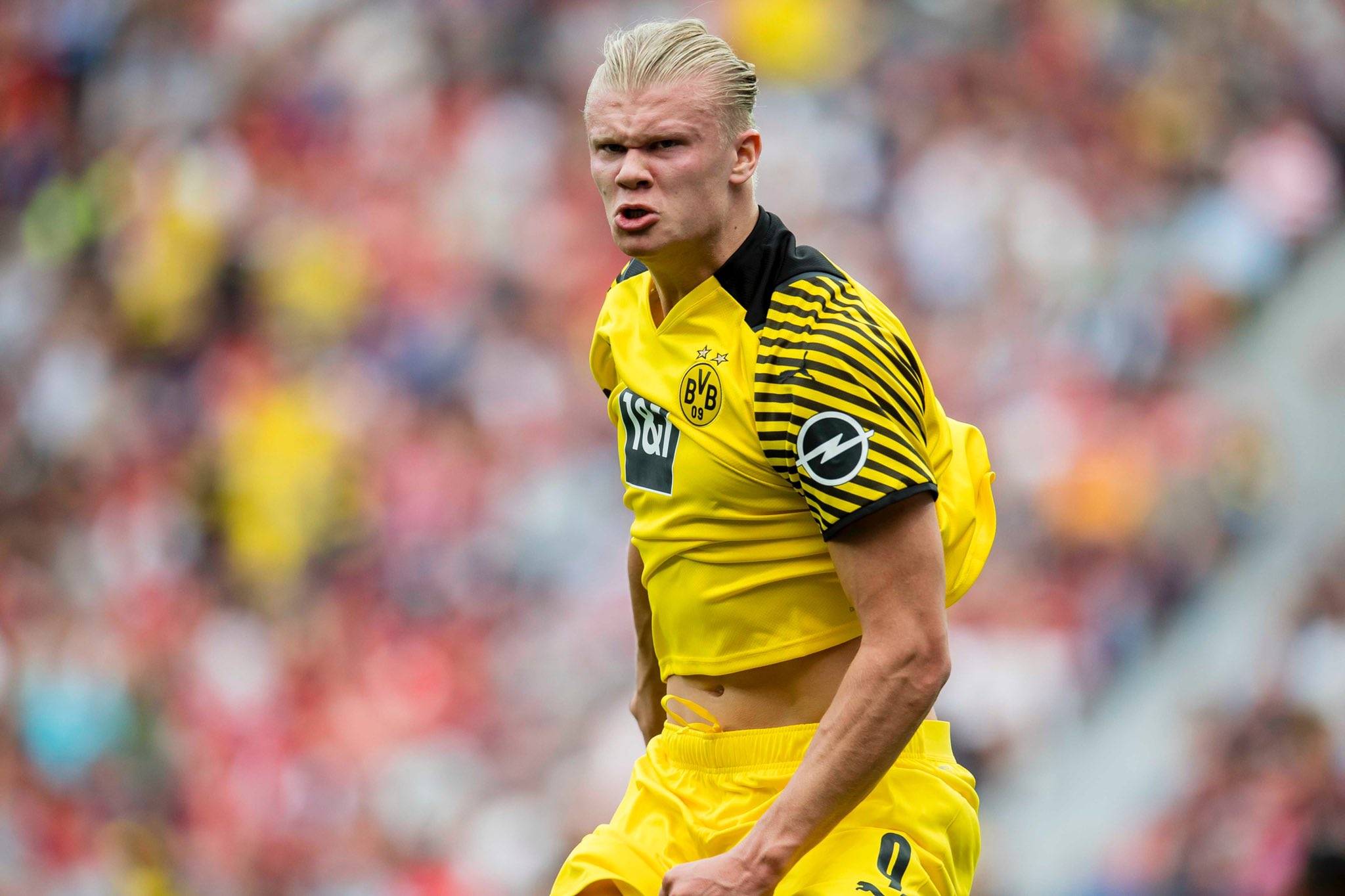 NBA常规赛最佳新秀候选名单